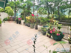 倚龍山莊 28座 - 28NTS – 香港北部都會區