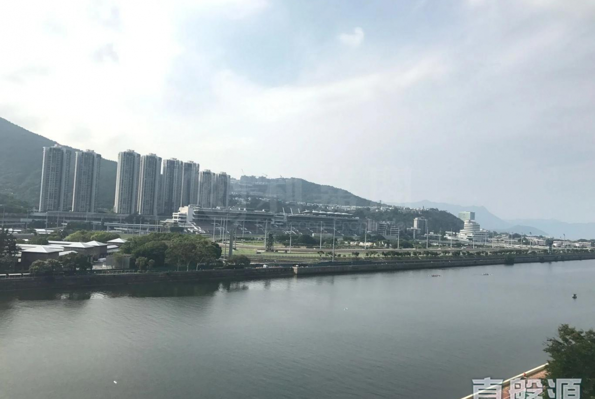 翠湖花園 1期 B座 - 28NTS – 香港北部都會區