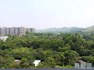 皇府山 6座 - 28NTS – 香港北部都會區
