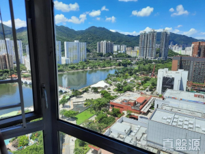 177612048213ecf2c3-7ecc-40c5-95c4-0599bb53f61e.jpeg 沙田中心 海寧大廈 (B座) - 28NTS – 香港北部都會區