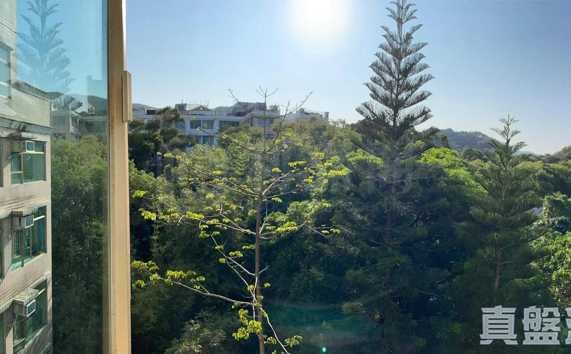 新峰花園 1期 17座 - 28NTS – 香港北部都會區