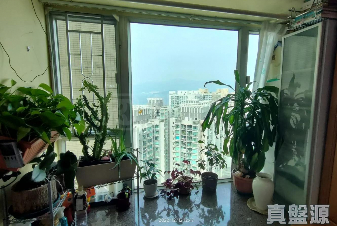 曉峰灣畔 3座 - 28NTS – 香港北部都會區