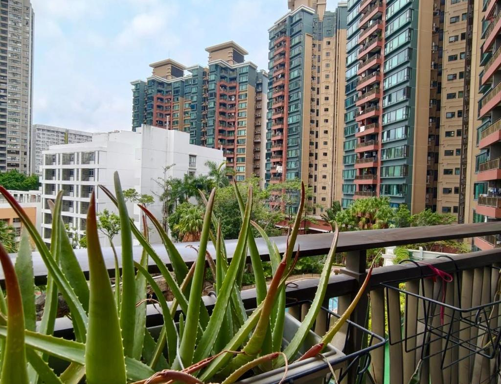 皇府山 7座 - 28NTS – 香港北部都會區