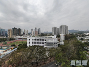 177612163079e18614-50c6-40bf-b9df-0cb3aee1fae7.jpeg 奕翠園 1座 - 28NTS – 香港北部都會區