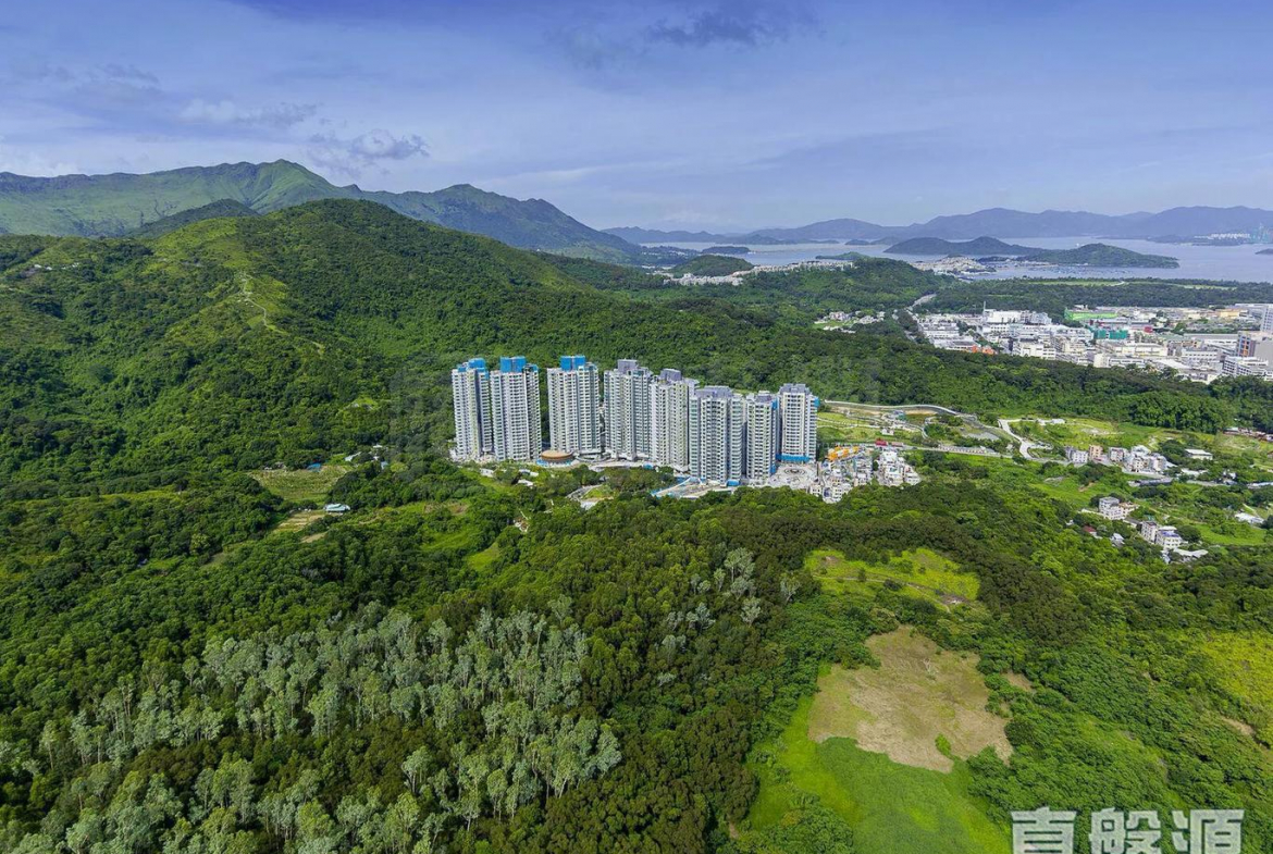 嵐山 1期 8座 - 28NTS – 香港北部都會區