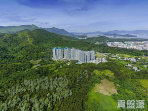 嵐山 1期 8座 - 28NTS – 香港北部都會區