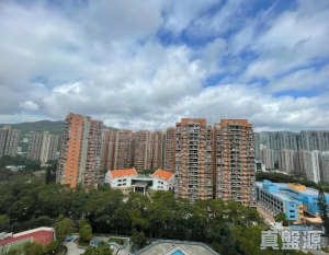 17761218892c238fa2-ccc5-484d-9f03-cda2d7b4bb11.jpeg 瑞峰花園 3座 - 28NTS – 香港北部都會區