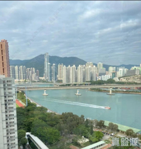 1776412979aad8ac5e-23f5-4142-8eb3-90f4724380b3.jpeg 翠怡花園 2期 7座 - 28NTS – 香港北部都會區