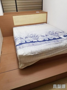 溱柏 9座 - 28NTS – 香港北部都會區