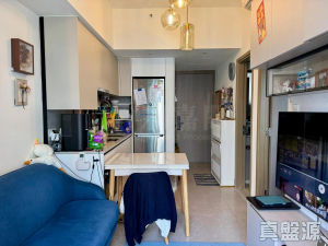 NOVO LAND 1B期 Bergen 3座 - 28NTS – 香港北部都會區