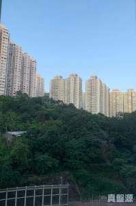 荃德花園 B座 - 28NTS – 香港北部都會區
