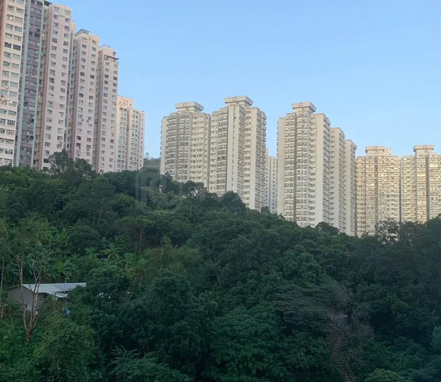 荃德花園 B座 - 28NTS – 香港北部都會區