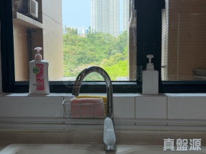 曉峰園 1座 - 28NTS – 香港北部都會區