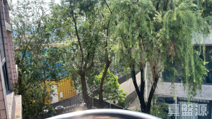 寶珊園 1座 - 28NTS – 香港北部都會區