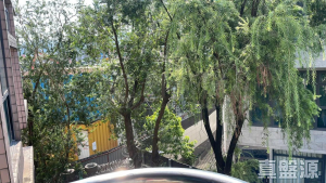 寶珊園 1座 - 28NTS – 香港北部都會區