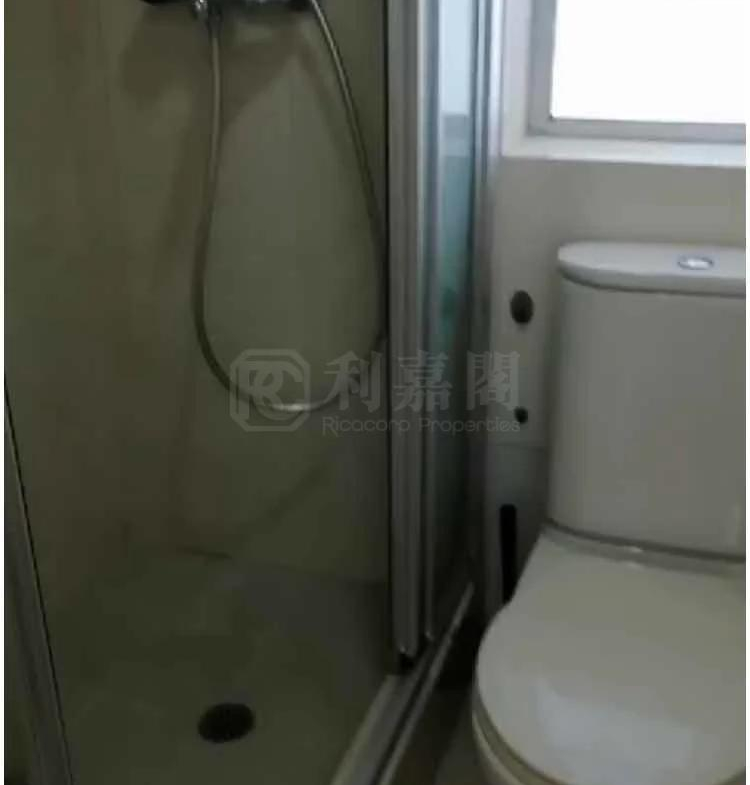 沙田中心 唐寧大廈 (D座) - 28NTS – 香港北部都會區