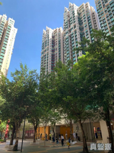 17764272532992d286-2aa7-4796-be5e-97bbe55a6ff7.jpeg 牽晴間 3座 - 28NTS – 香港北部都會區