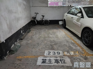 沙田中心 車位 - 28NTS – 香港北部都會區