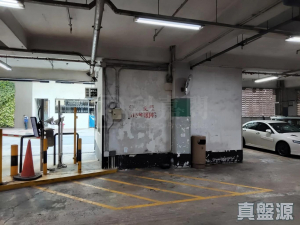 沙田中心 車位 - 28NTS – 香港北部都會區