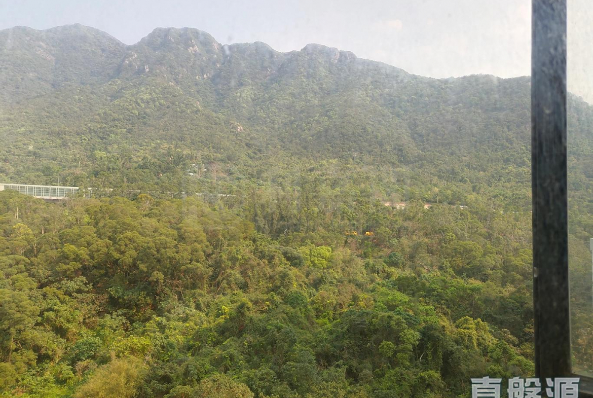 雅景臺 4座 - 28NTS – 香港北部都會區