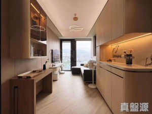 星凱．堤岸 2座 - 28NTS – 香港北部都會區