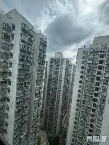 17764292527aeb1fde-52d5-4b06-b0d7-8d5b6cc089bc.jpeg 沙田第一城 5期 46座 - 28NTS – 香港北部都會區