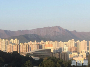 177642965780aac3a8-e1ff-4cdc-8f59-e503416a6835.jpeg 新峰花園 4期 御峰豪園 31座 - 28NTS – 香港北部都會區