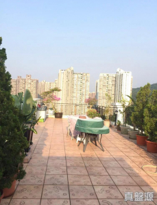 1776429663d04b3c0b-e640-4f2c-84b9-3e03df7c285d.jpeg 新峰花園 4期 御峰豪園 31座 - 28NTS – 香港北部都會區