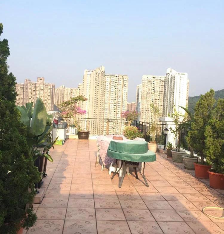 新峰花園 4期 御峰豪園 31座 - 28NTS – 香港北部都會區