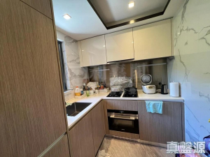 天鑽 8座 - 28NTS – 香港北部都會區