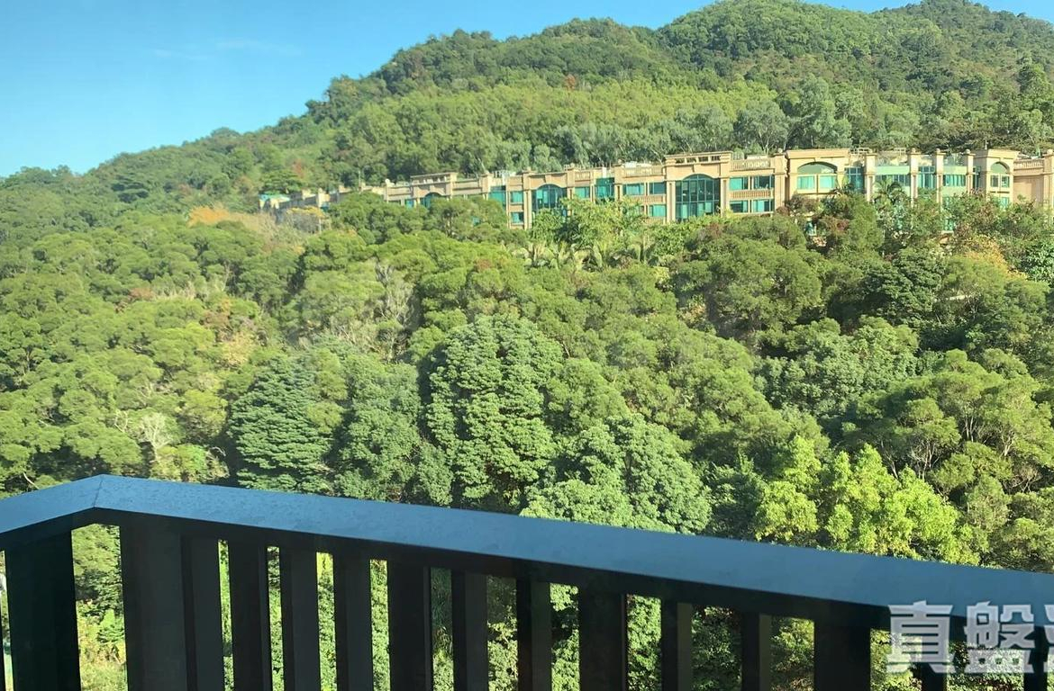 天鑽 16座 - 28NTS – 香港北部都會區