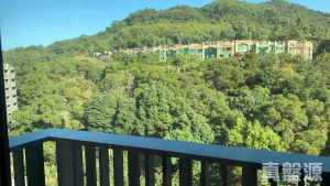 天鑽 16座 - 28NTS – 香港北部都會區