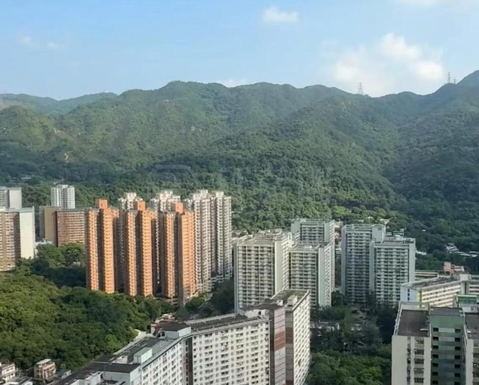 柏傲莊 1期 3座 (3B) - 28NTS – 香港北部都會區