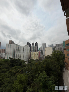 1776440183749dd09e-4e0f-41c4-b3e1-865e052d13b0.jpeg 艷霞花園 2座 - 28NTS – 香港北部都會區