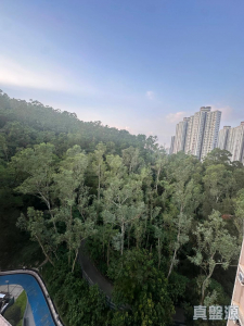 昌盛苑 昌濤閣 (C座) - 28NTS – 香港北部都會區