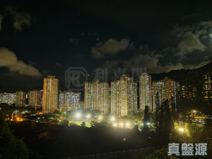 陳園 - 28NTS – 香港北部都會區