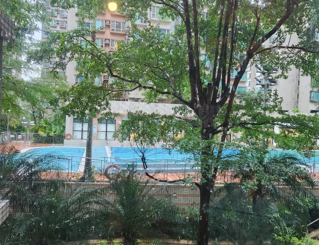 采葉庭 12座 - 28NTS – 香港北部都會區