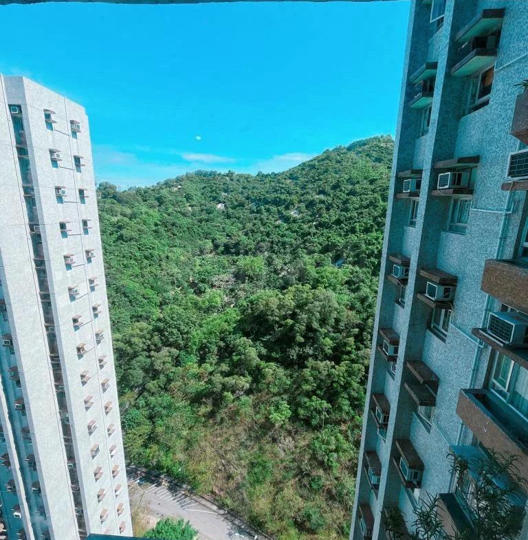 青華苑 華欣閣 (E座) - 28NTS – 香港北部都會區