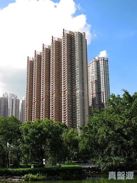 栢慧豪園 2期 栢慧豪廷 8座 - 28NTS – 香港北部都會區