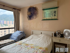 龍珠花園 C座 - 28NTS – 香港北部都會區