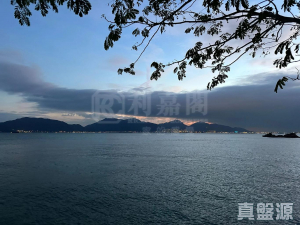 龍珠島別墅 東座 - 28NTS – 香港北部都會區