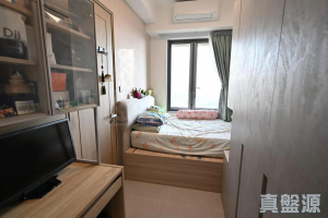 飛揚 1期 1座 - 28NTS – 香港北部都會區
