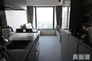 飛揚 1期 1座 - 28NTS – 香港北部都會區