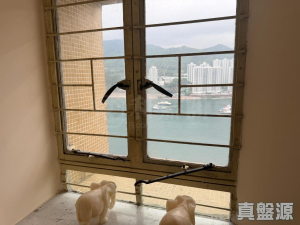 1776774250d6ca65f7-5e6a-4423-814e-1d8a2213c20f.jpeg 長安邨 安海樓 (1座) - 28NTS – 香港北部都會區