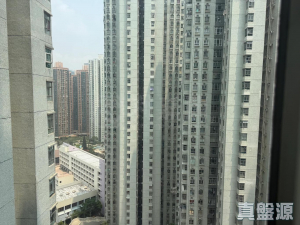 麗城花園 2期 7座 - 28NTS – 香港北部都會區