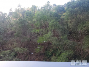 1776775229b79df606-1c32-4e97-ae89-544ddb56b5d2.jpeg 黃金海灣 1期 意嵐 3座 - 28NTS – 香港北部都會區