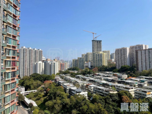 綠悠雅苑 1座 - 28NTS – 香港北部都會區