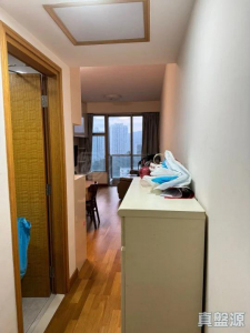 綠悠雅苑 3座 - 28NTS – 香港北部都會區