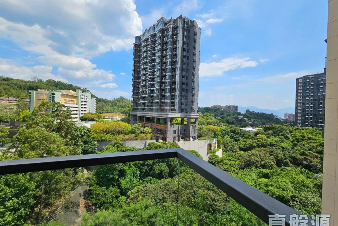 NAPA 5座 - 28NTS – 香港北部都會區