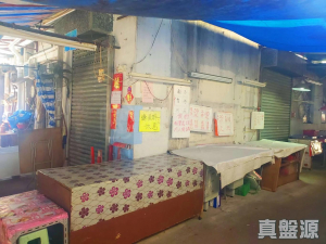 17767777504567beae-8a37-4962-9e87-24daae45ba5c.jpeg 涌美老屋村 45號 - 28NTS – 香港北部都會區